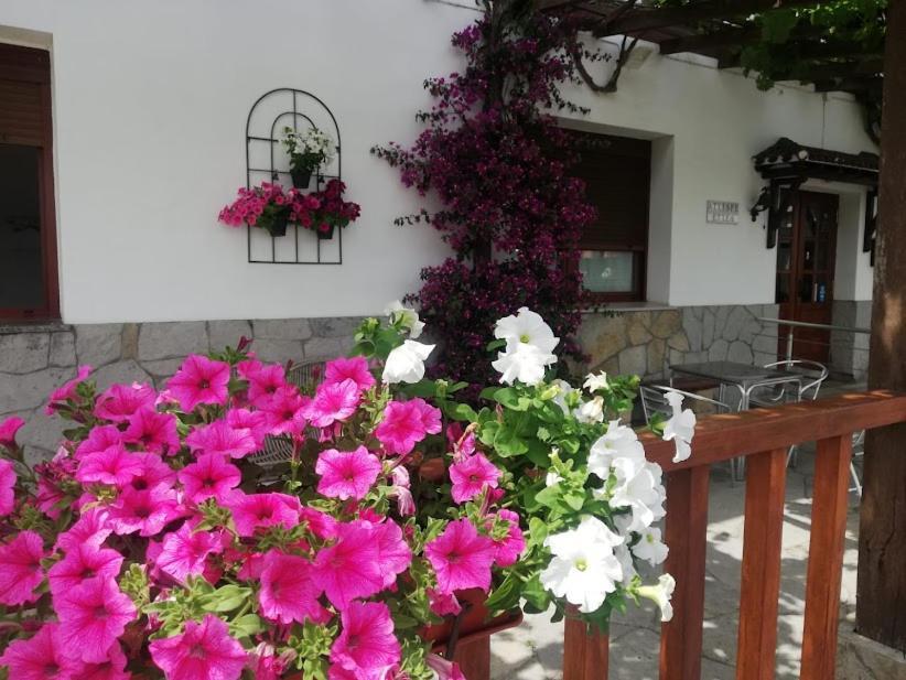 Atxispe Etxea Casa Rural Laukiz Dış mekan fotoğraf